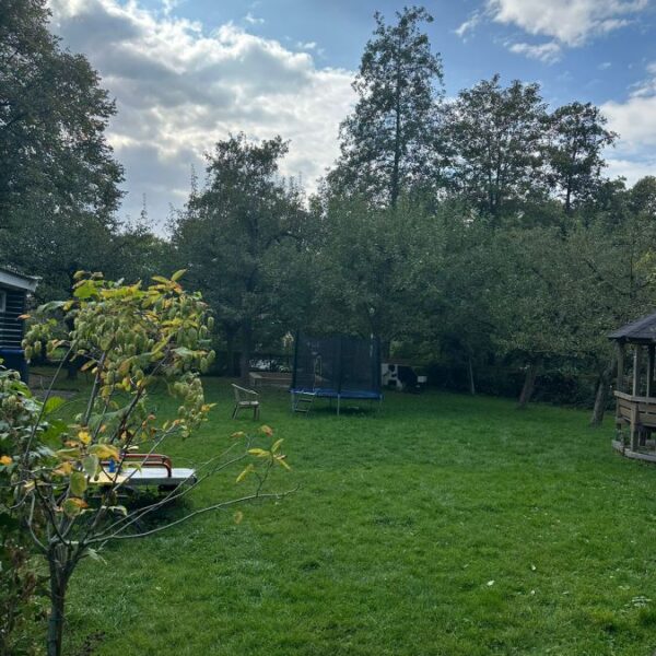 tuin 5